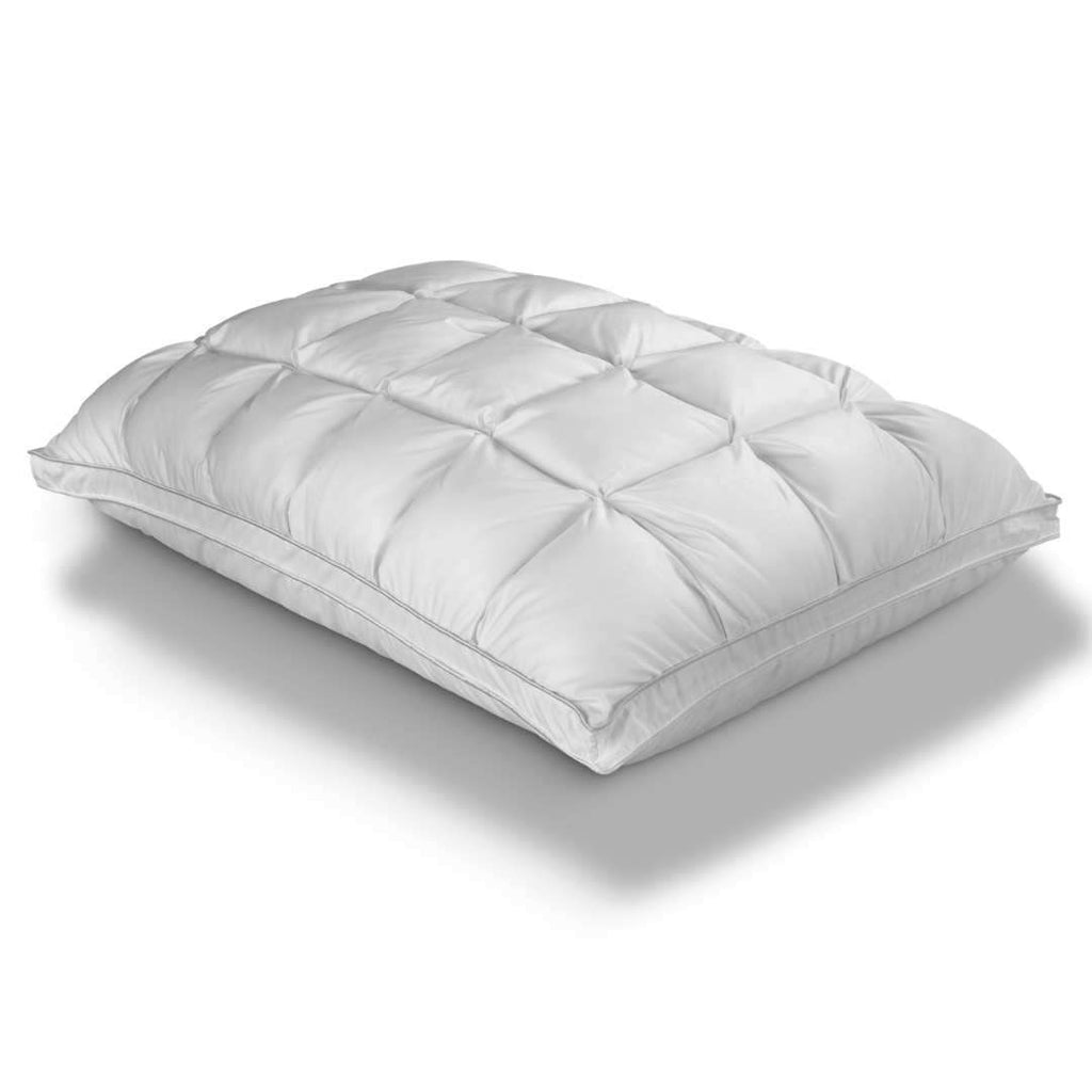 Suncliff Dream Kushin Luxury Pillow