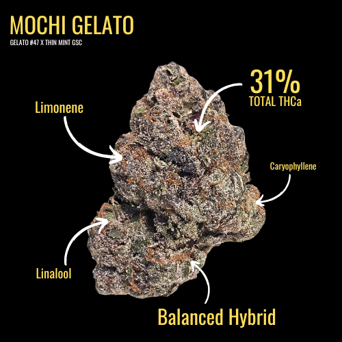 Mochi Gelato