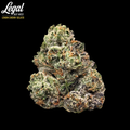 Lemon Cherry Gelato