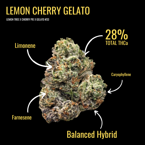Lemon Cherry Gelato