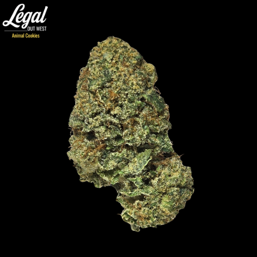 Animal Cookies cannabis flower bud