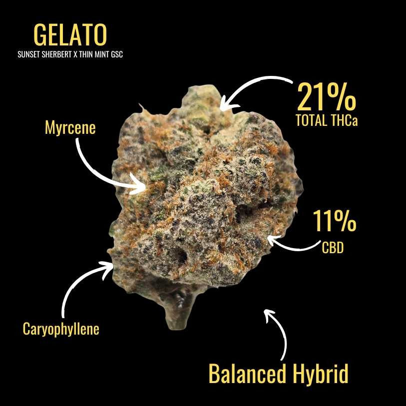 Gelato