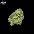 Purple Punch cannabis flower bud